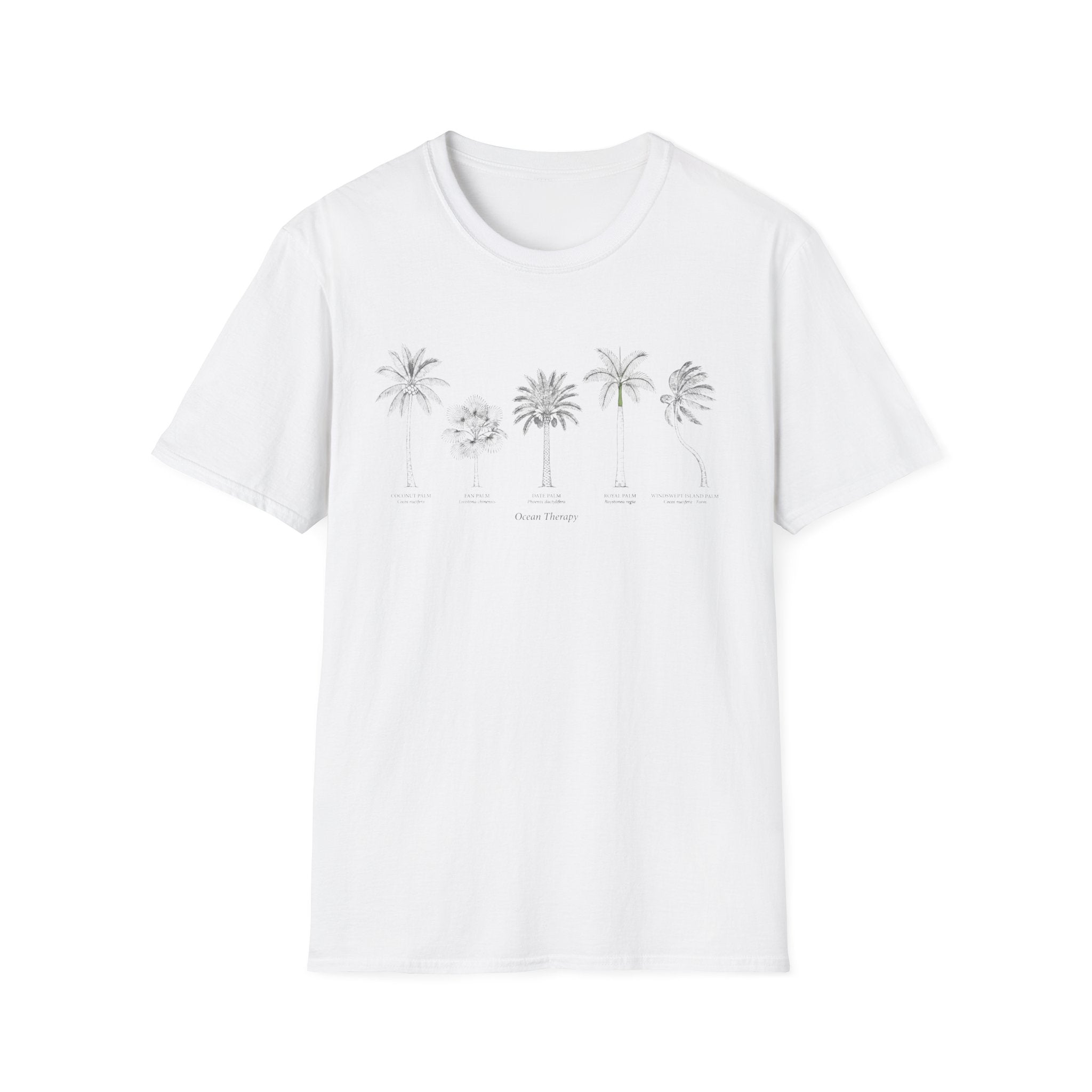 Palm Tree Illustration T‑Shirt — Botanical Palm Species Diagram Tee